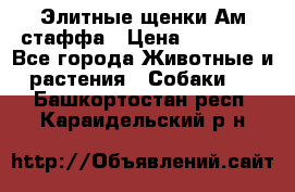 Элитные щенки Ам.стаффа › Цена ­ 25 000 - Все города Животные и растения » Собаки   . Башкортостан респ.,Караидельский р-н